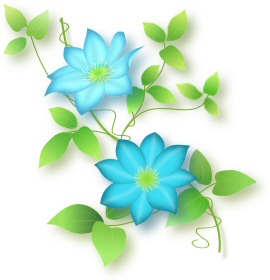 첨부이미지