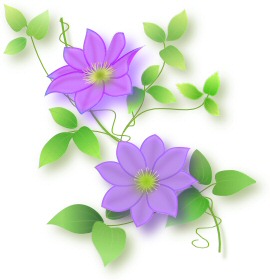 첨부이미지