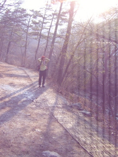 첨부이미지