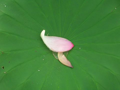 첨부이미지