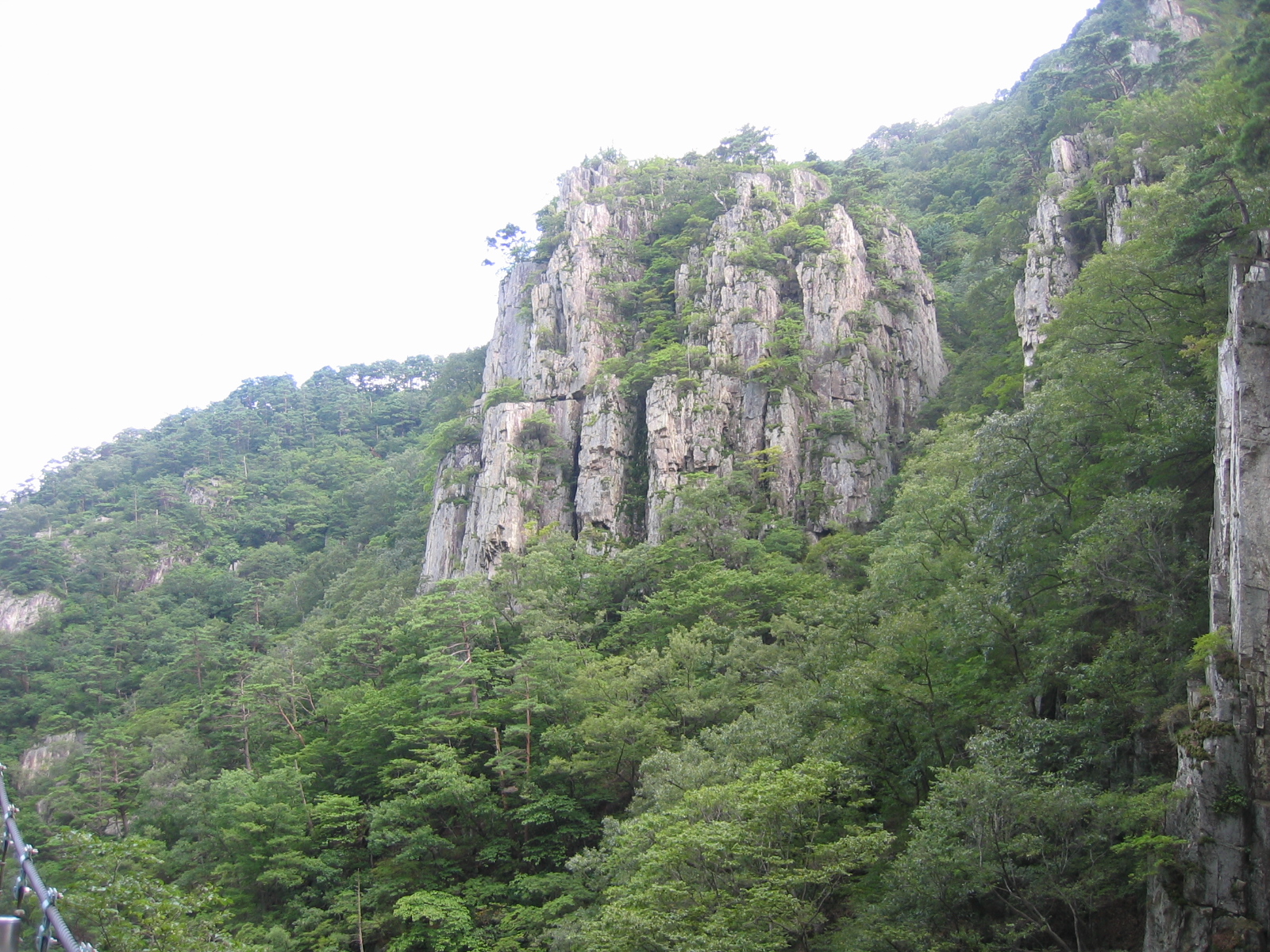 첨부이미지