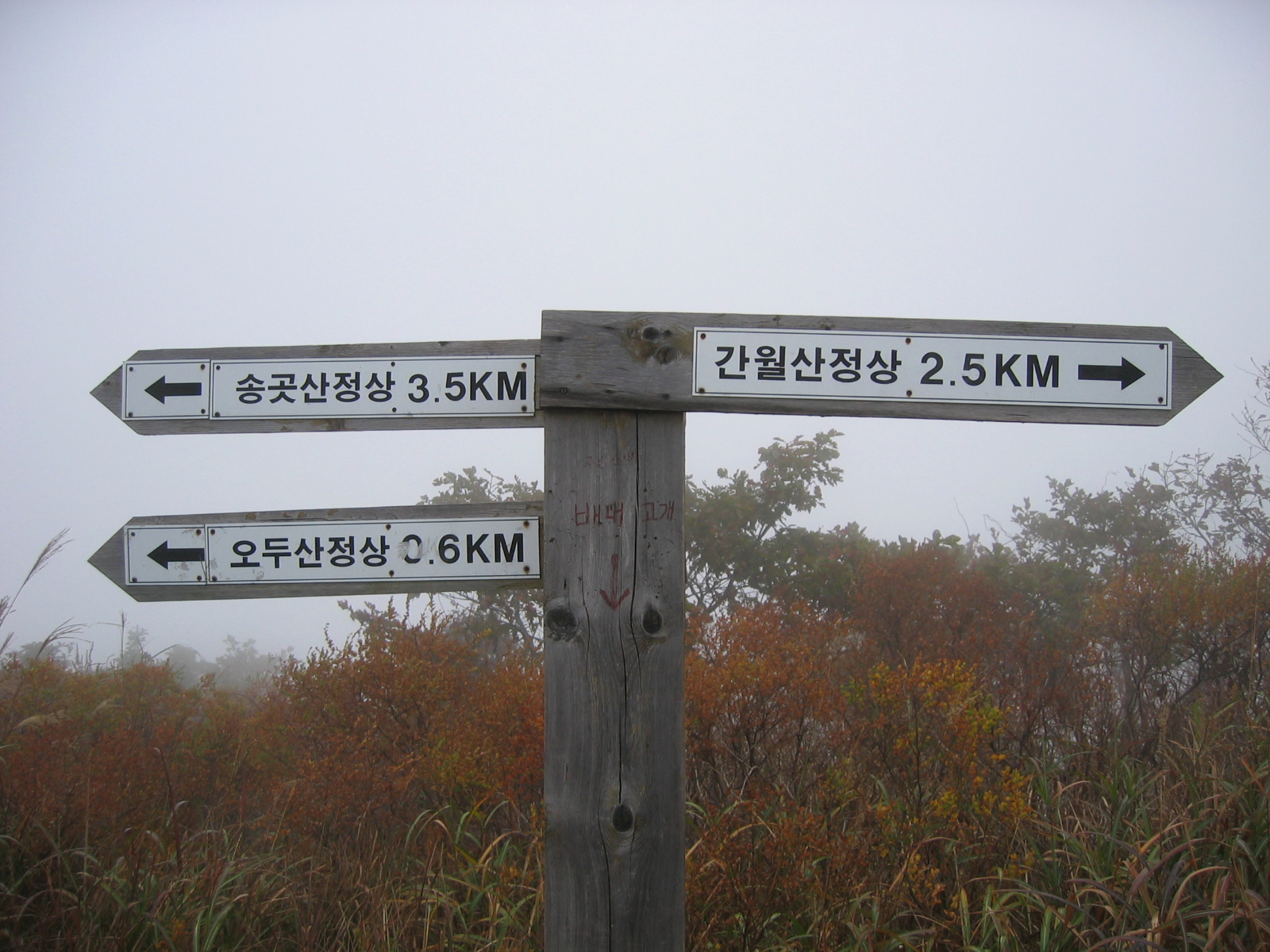 첨부이미지