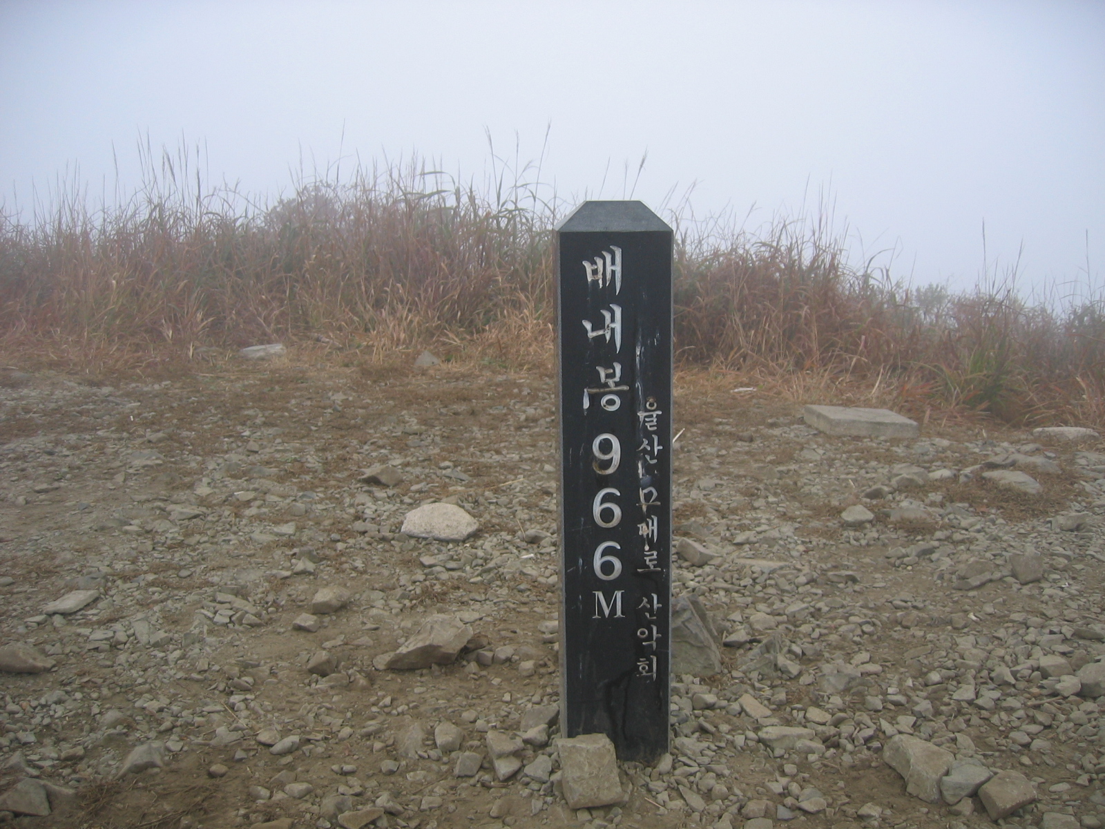 첨부이미지