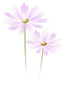 첨부이미지