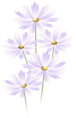첨부이미지