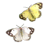 ¨€tøÀ