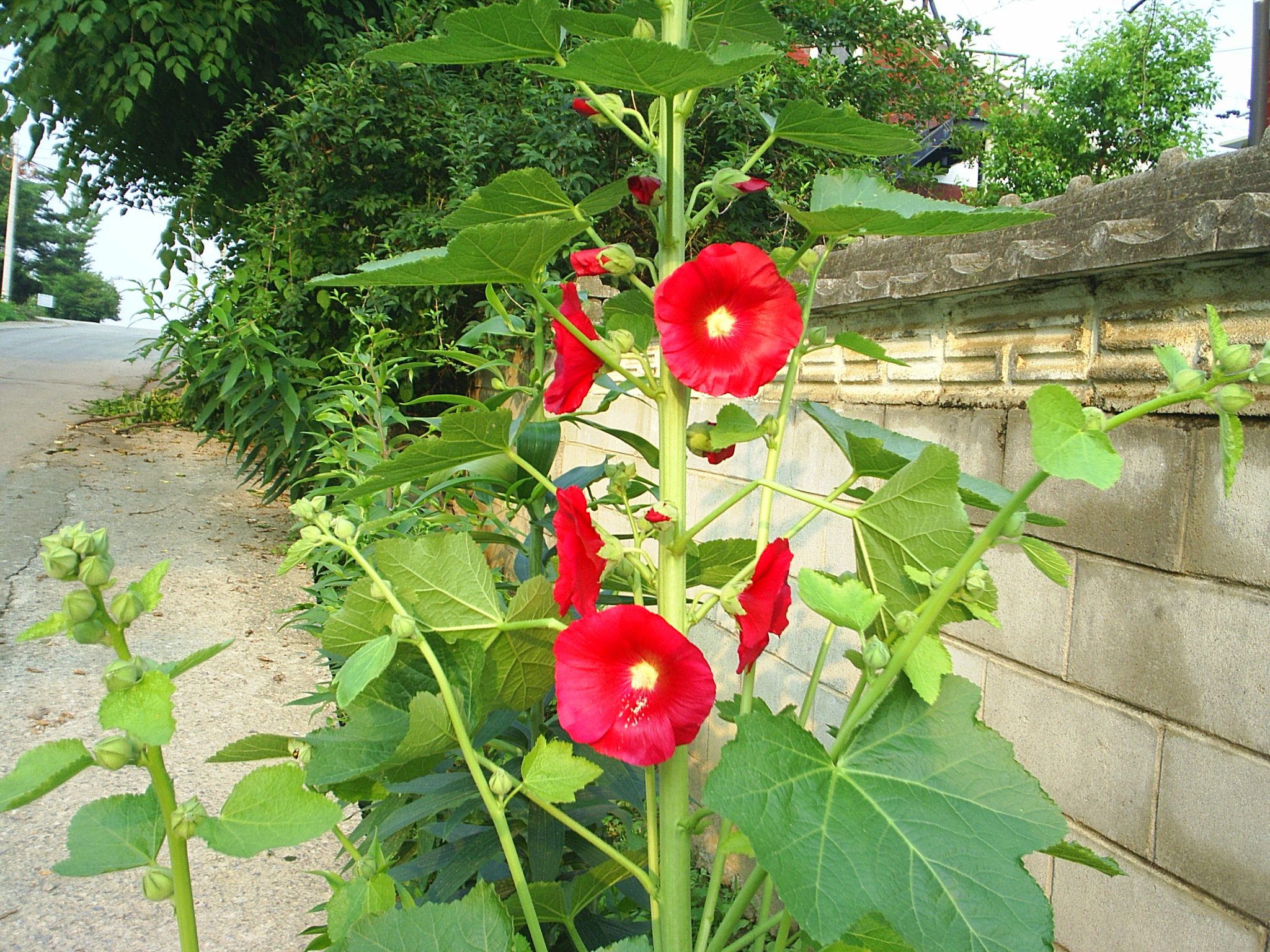 첨부이미지
