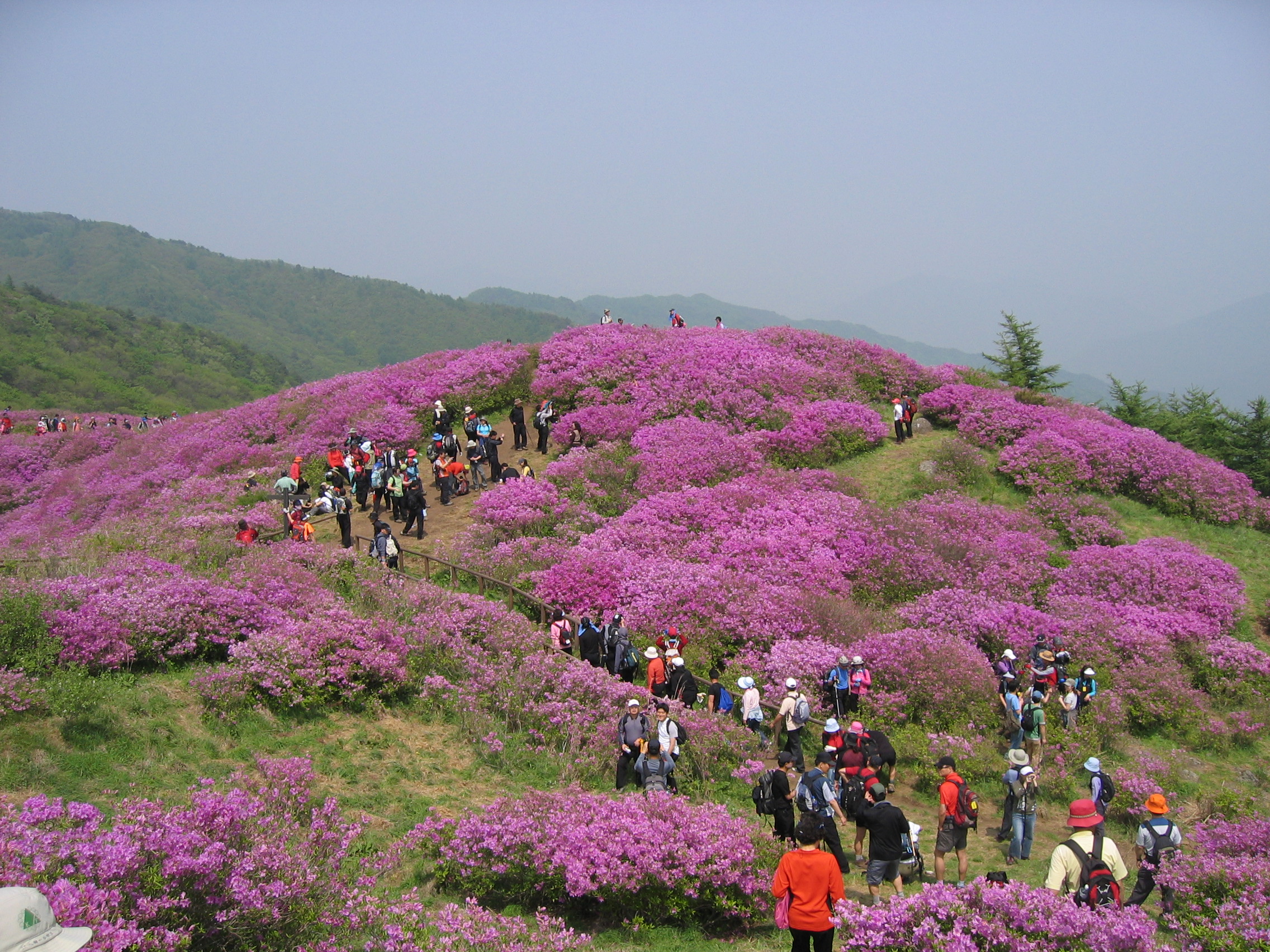 첨부이미지