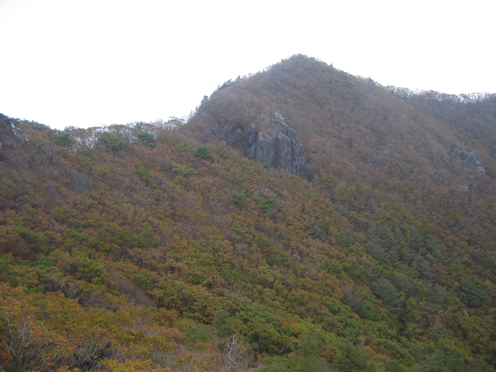 첨부이미지