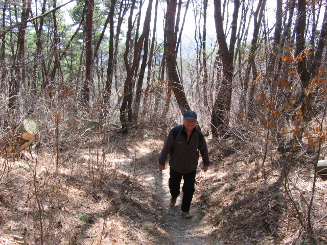 첨부이미지