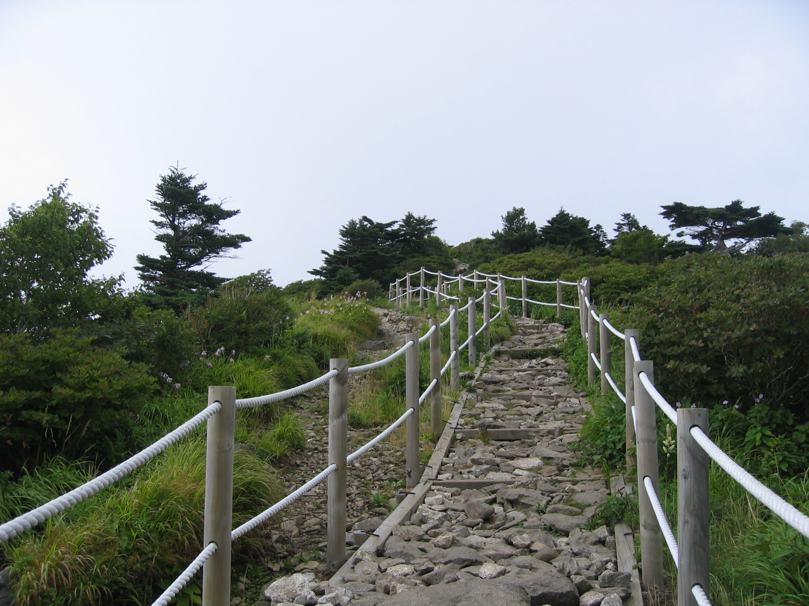 첨부이미지