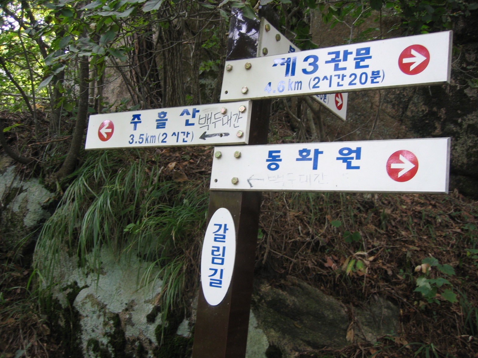 첨부이미지