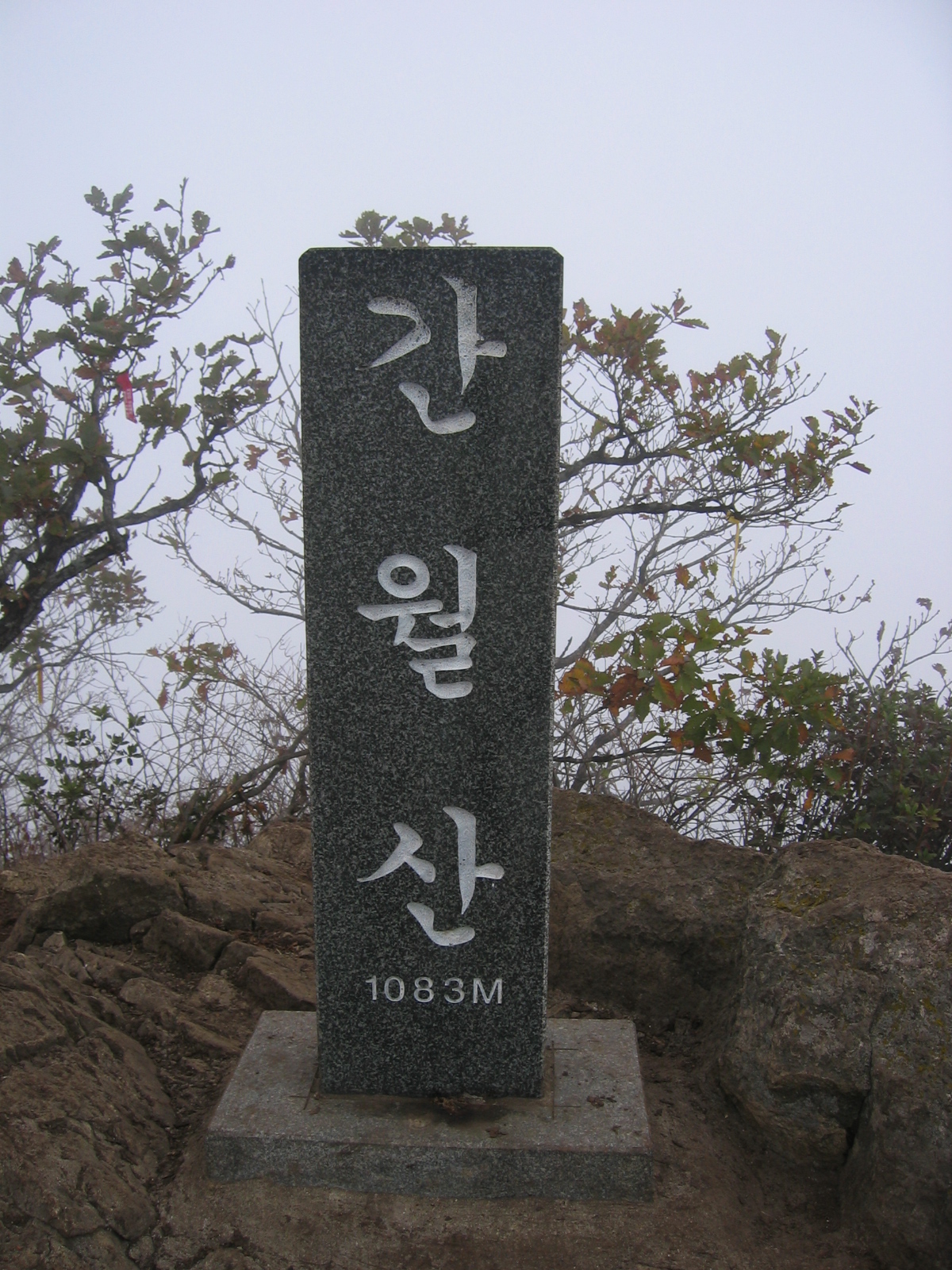 첨부이미지