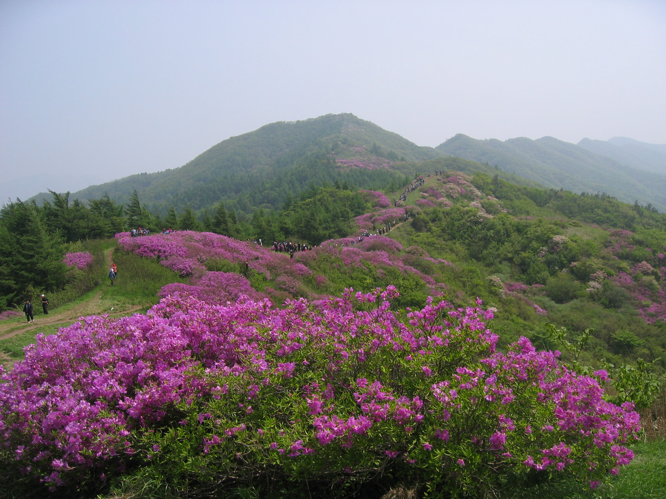 첨부이미지