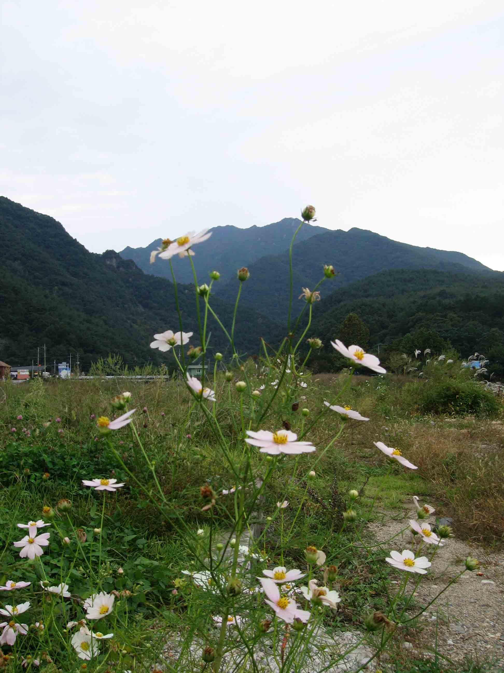 첨부이미지