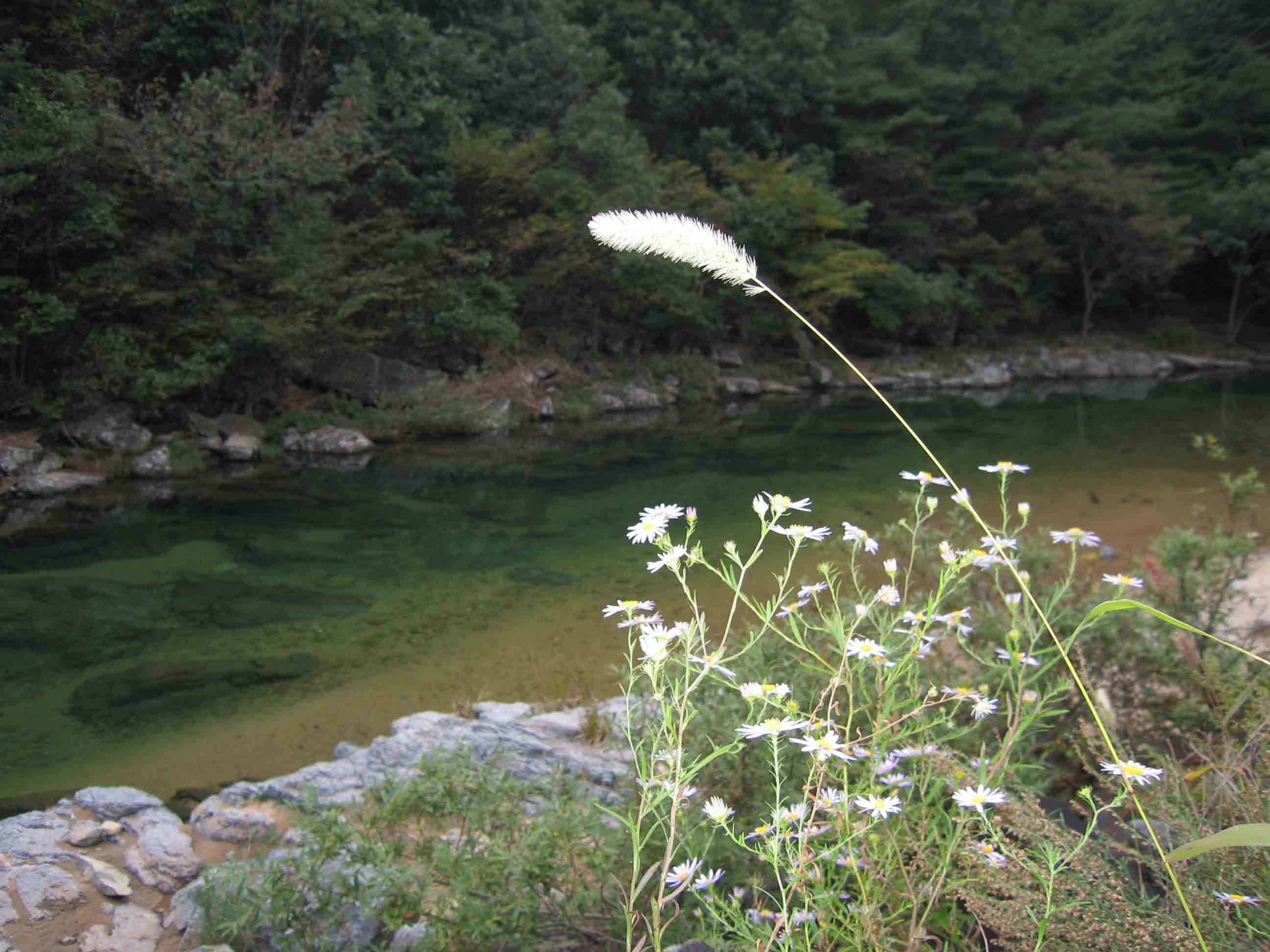 첨부이미지