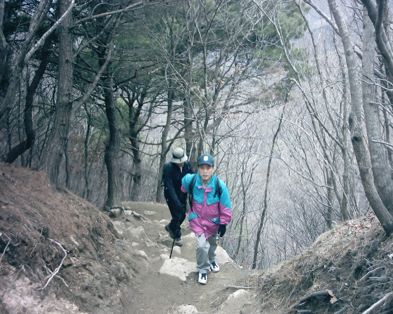 첨부이미지