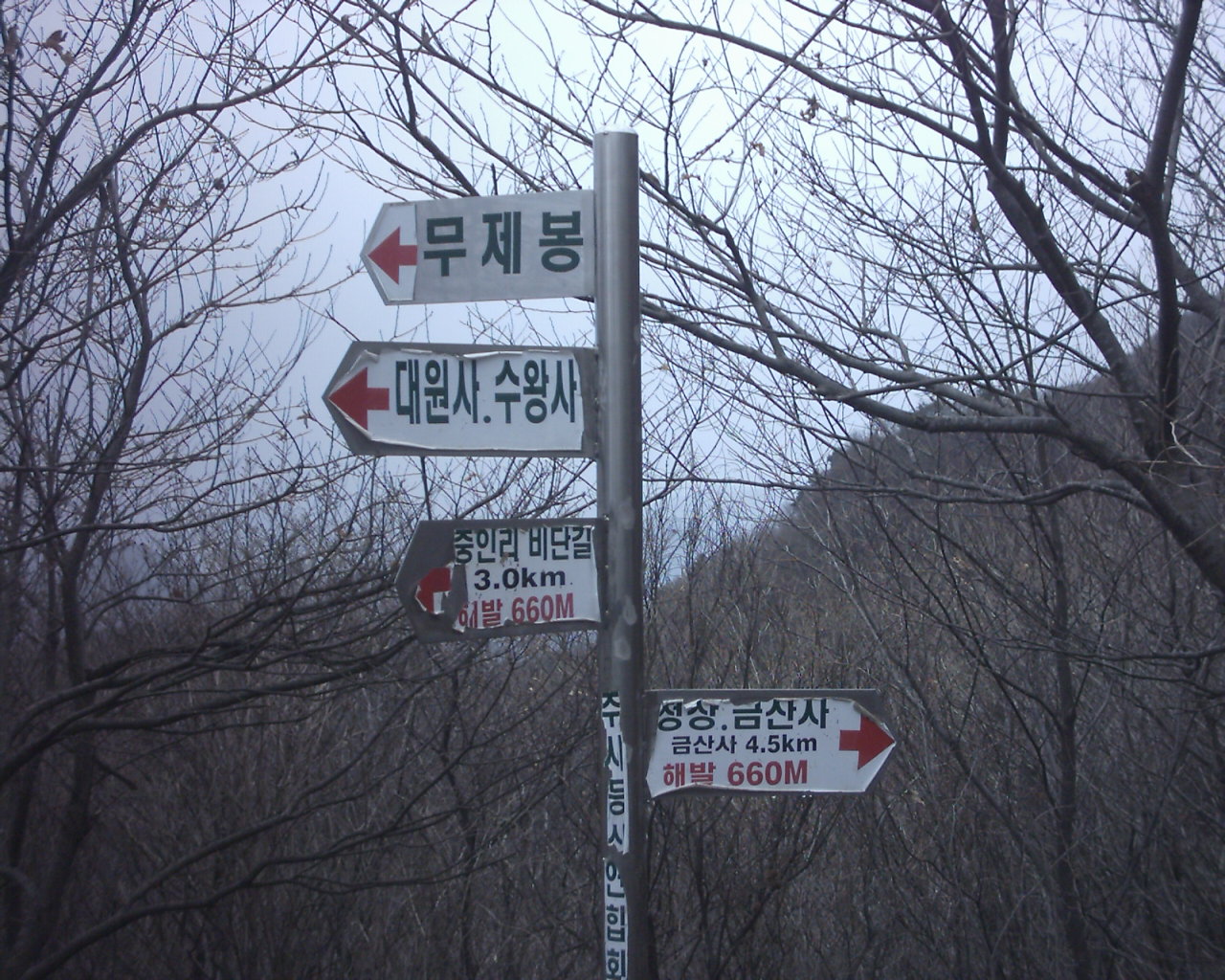 첨부이미지