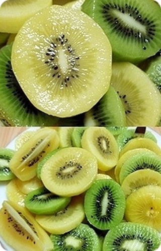 첨부이미지