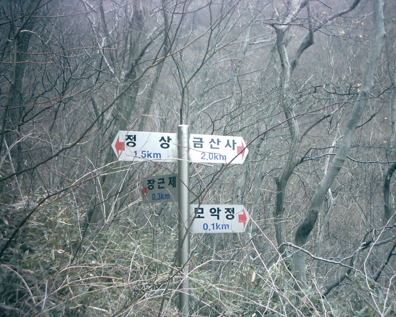 첨부이미지