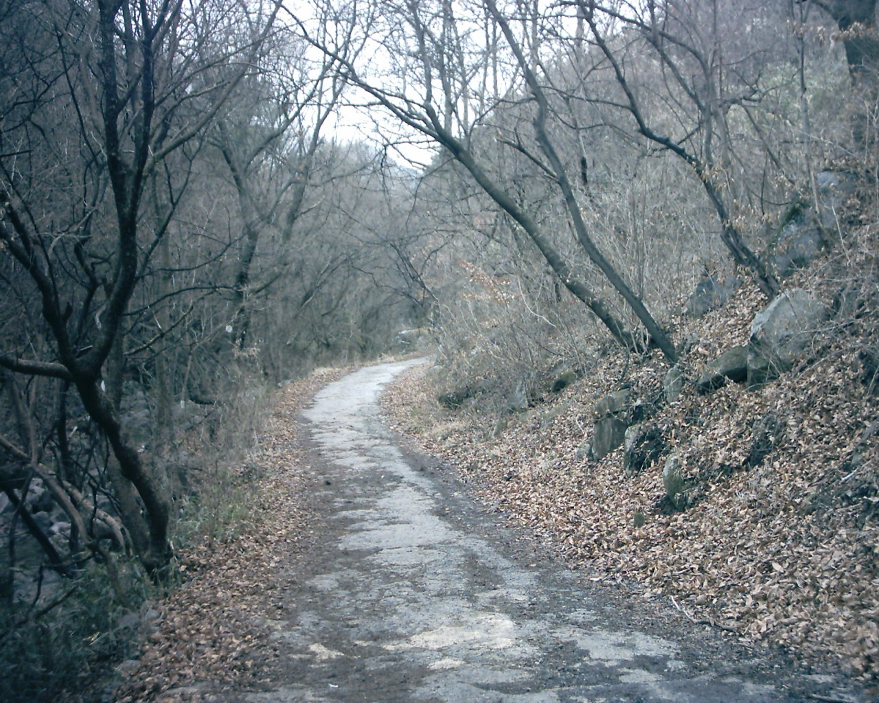 첨부이미지