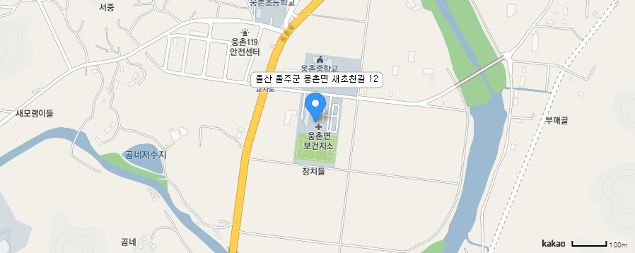 카카오맵