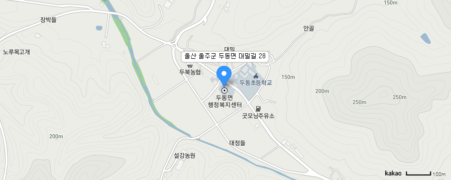 카카오맵