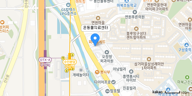 카카오맵 온동물의료센터 위치