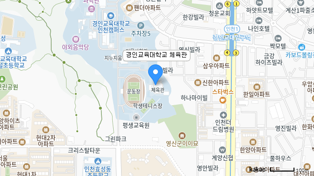 카카오맵 위치