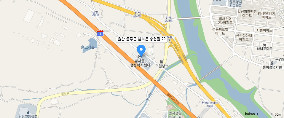 카카오맵