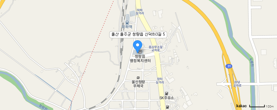 카카오맵