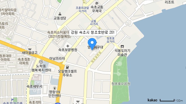 카카오맵