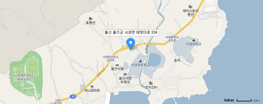카카오맵