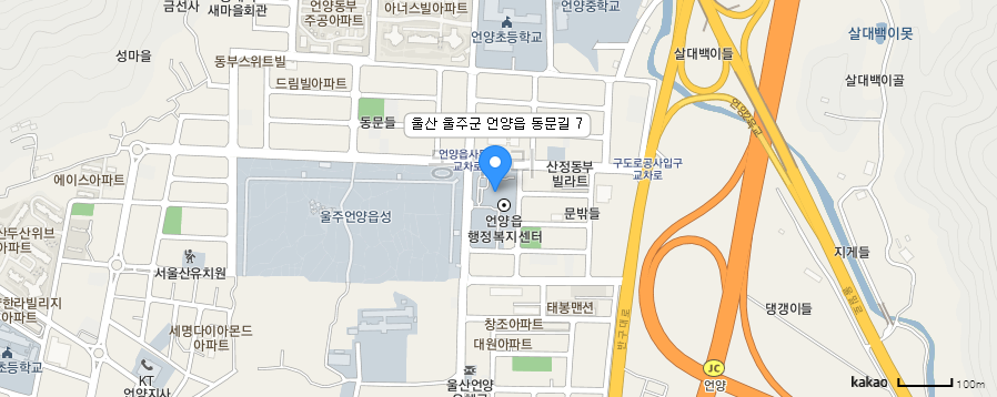 카카오맵