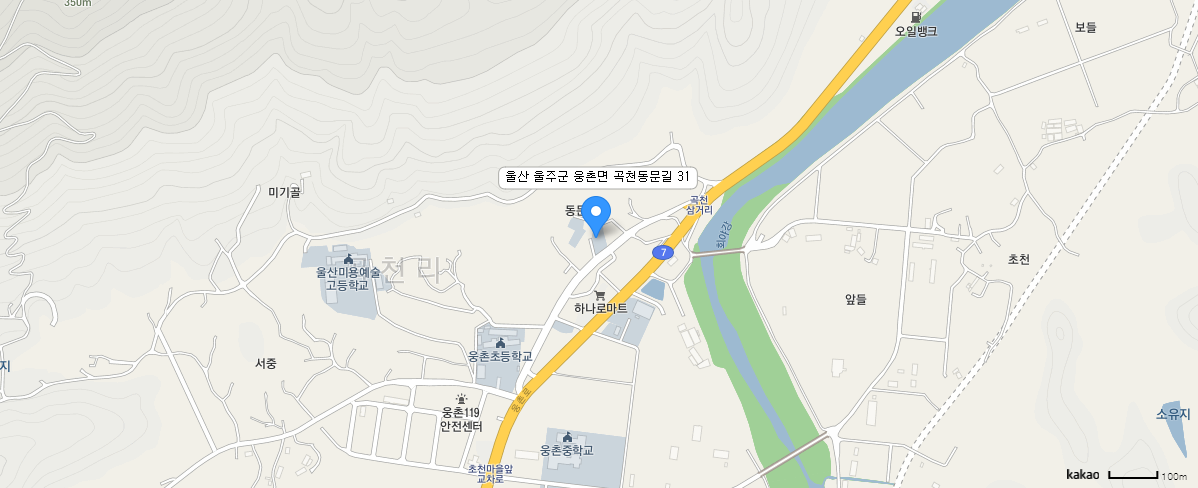 카카오맵