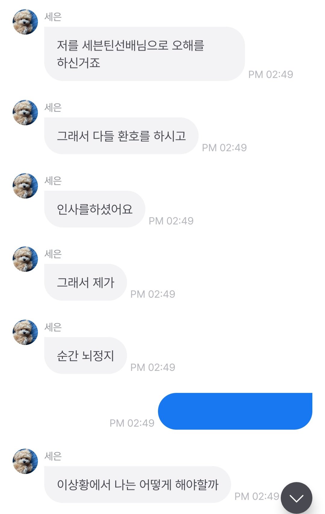 대표이미지