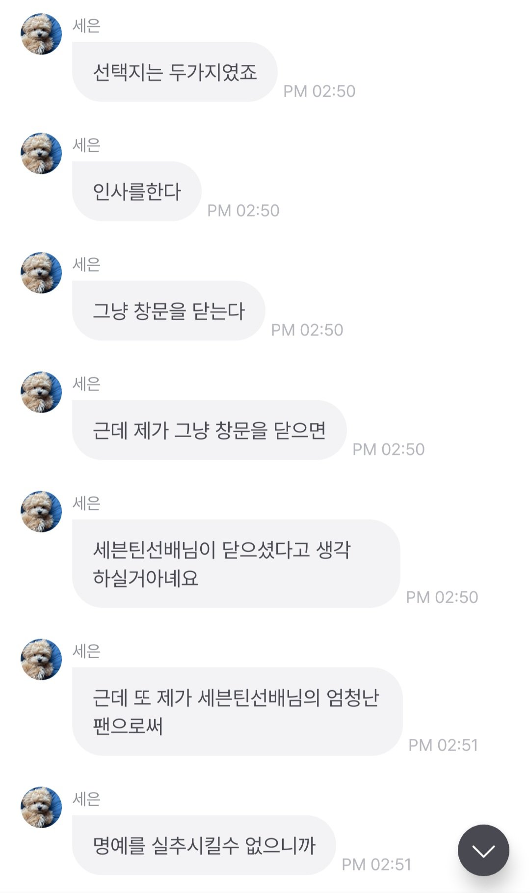 대표이미지