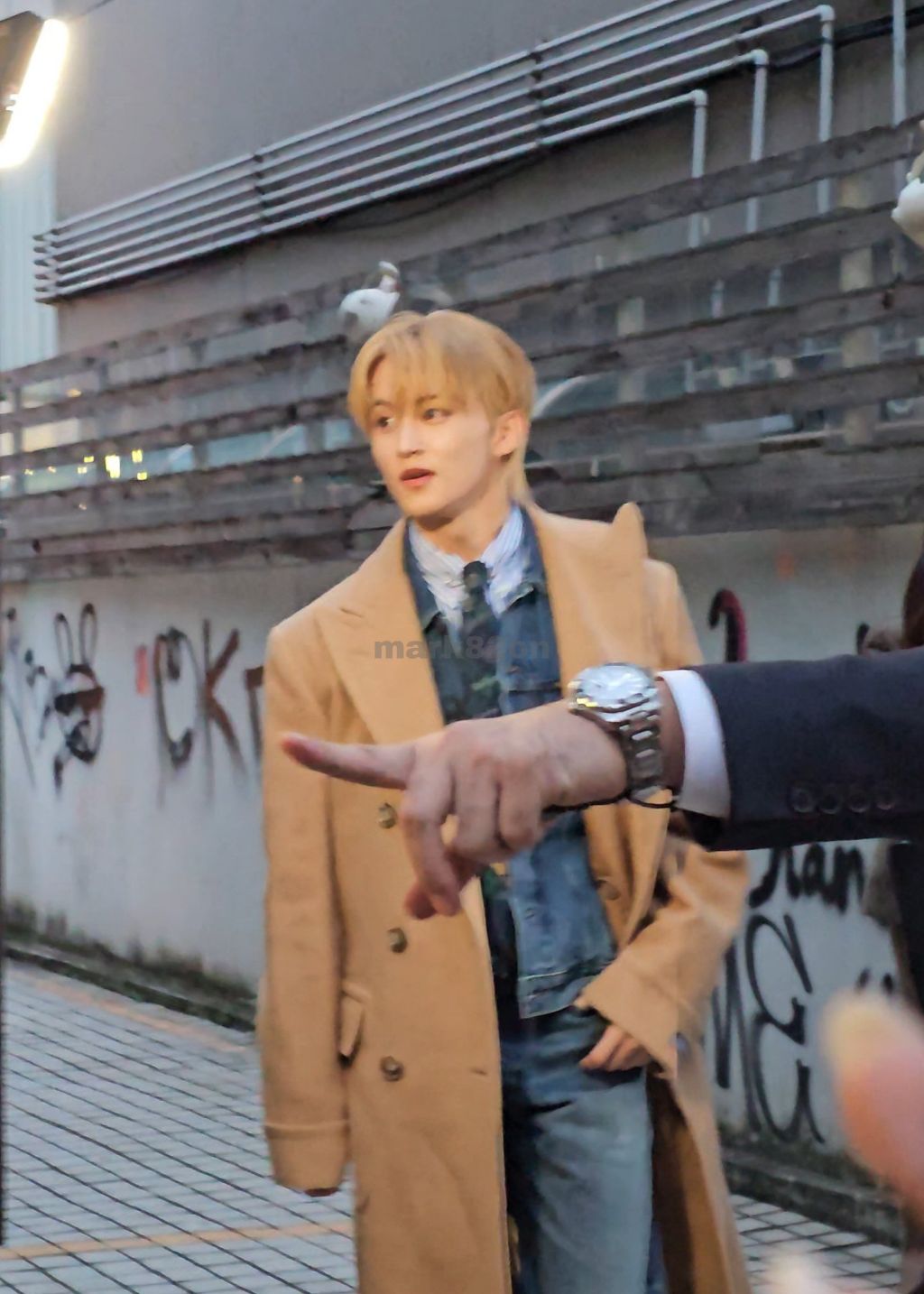 대표이미지