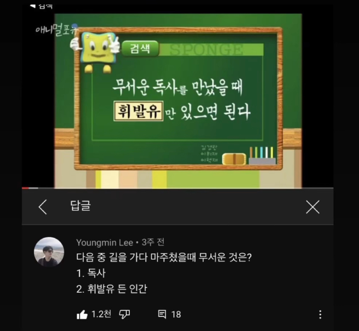 대표이미지