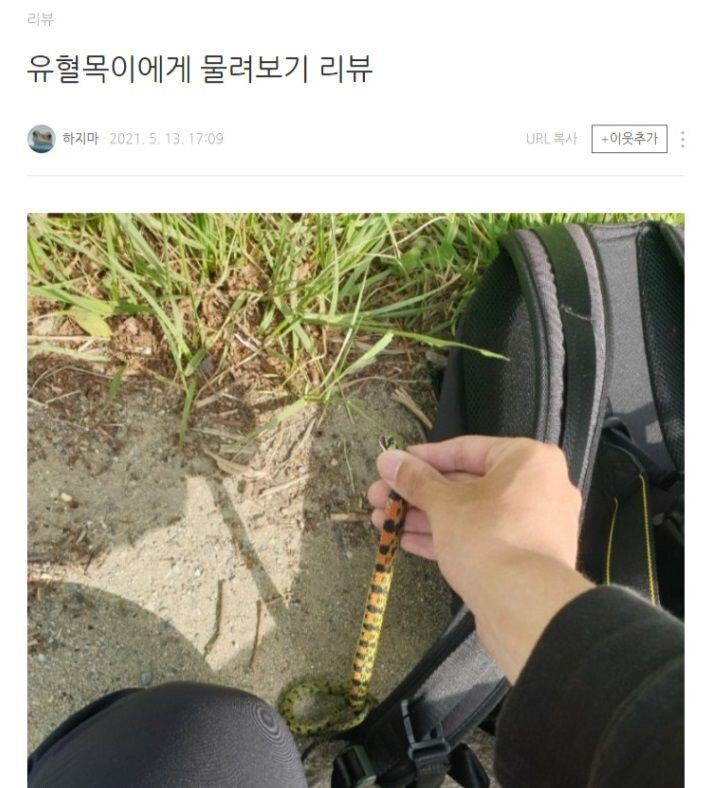 대표이미지