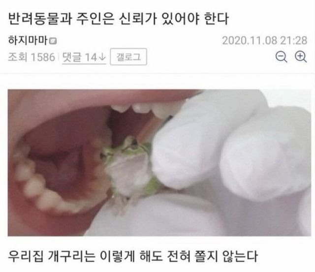 대표이미지