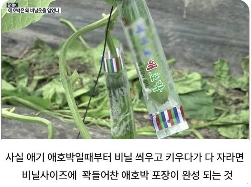 게시글 대표 이미지