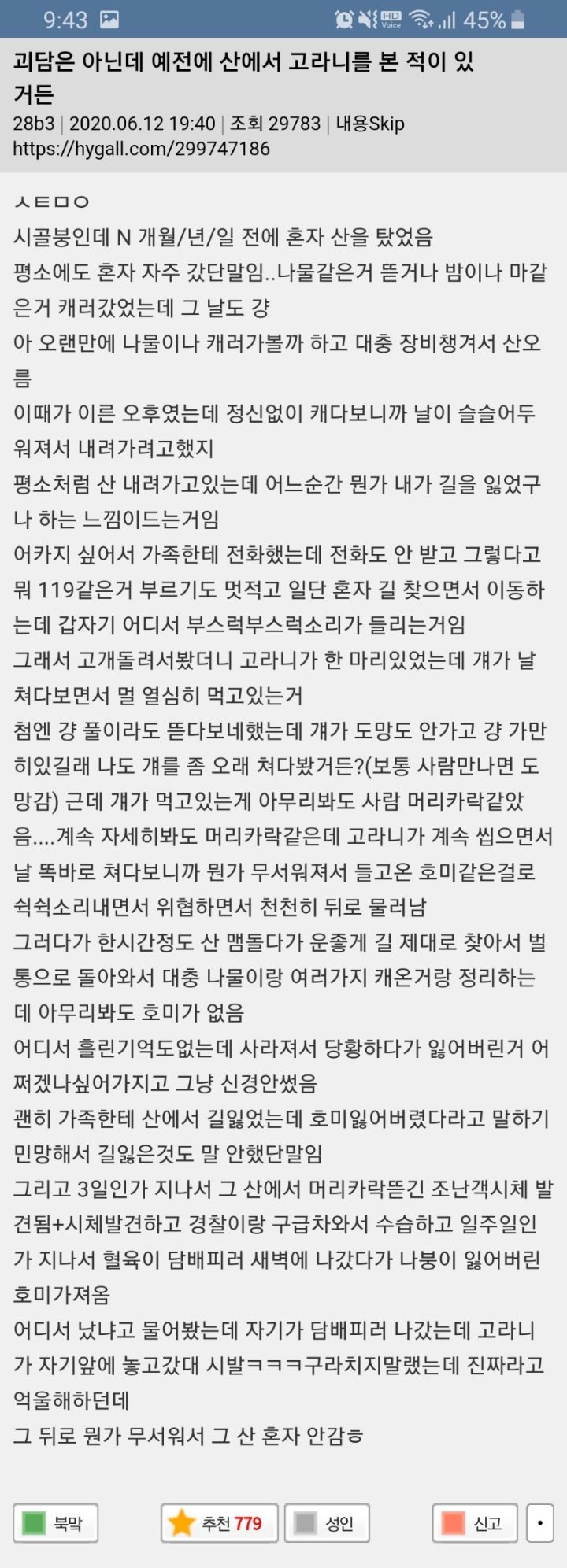 대표이미지