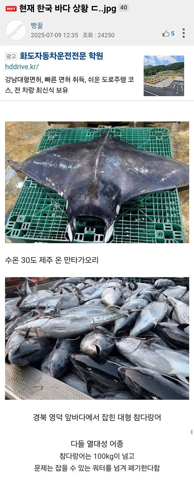 게시글 대표 이미지