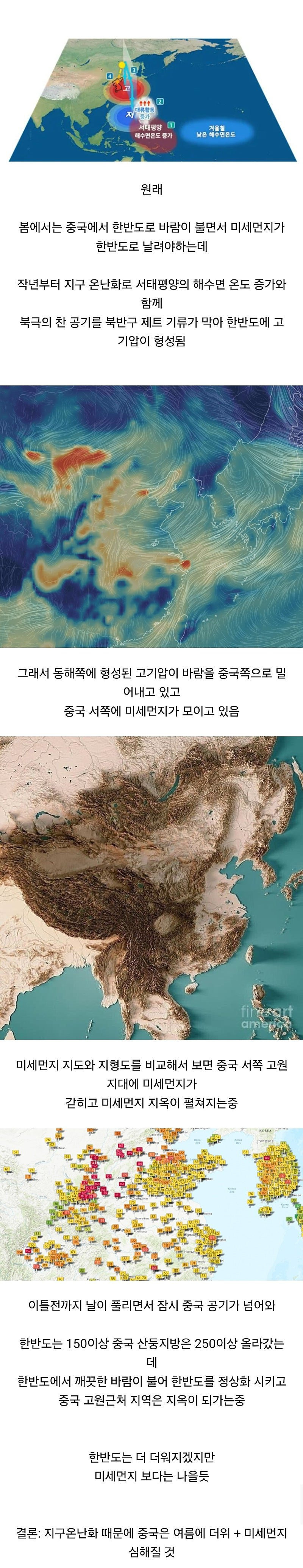 게시글 대표 이미지
