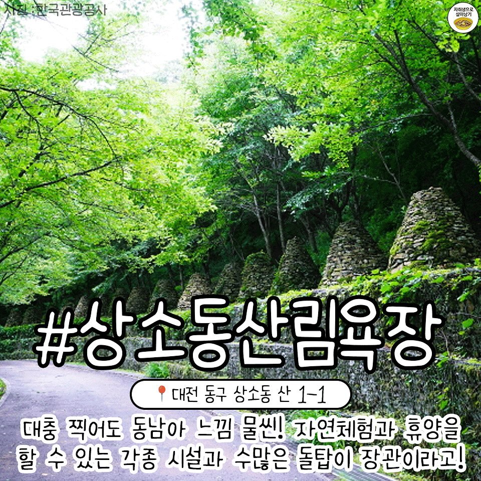 대표이미지