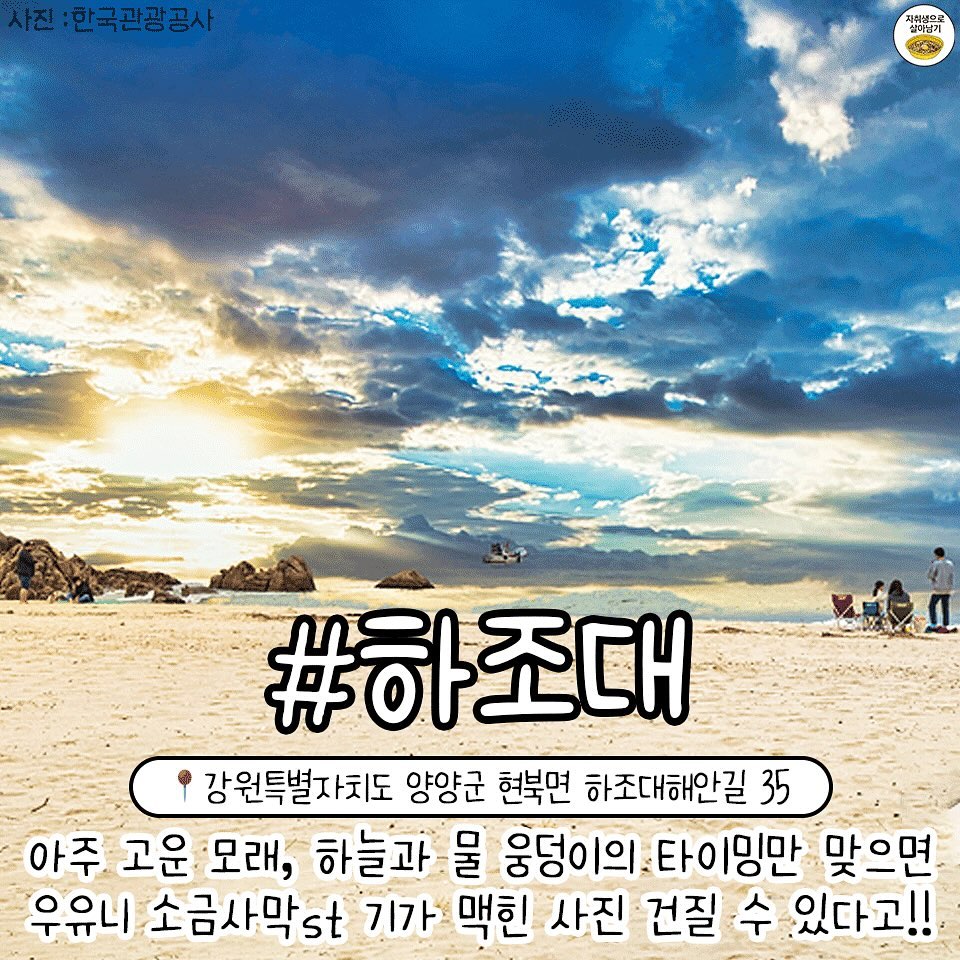 대표이미지