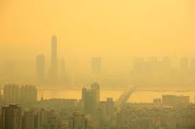 게시글 대표 이미지