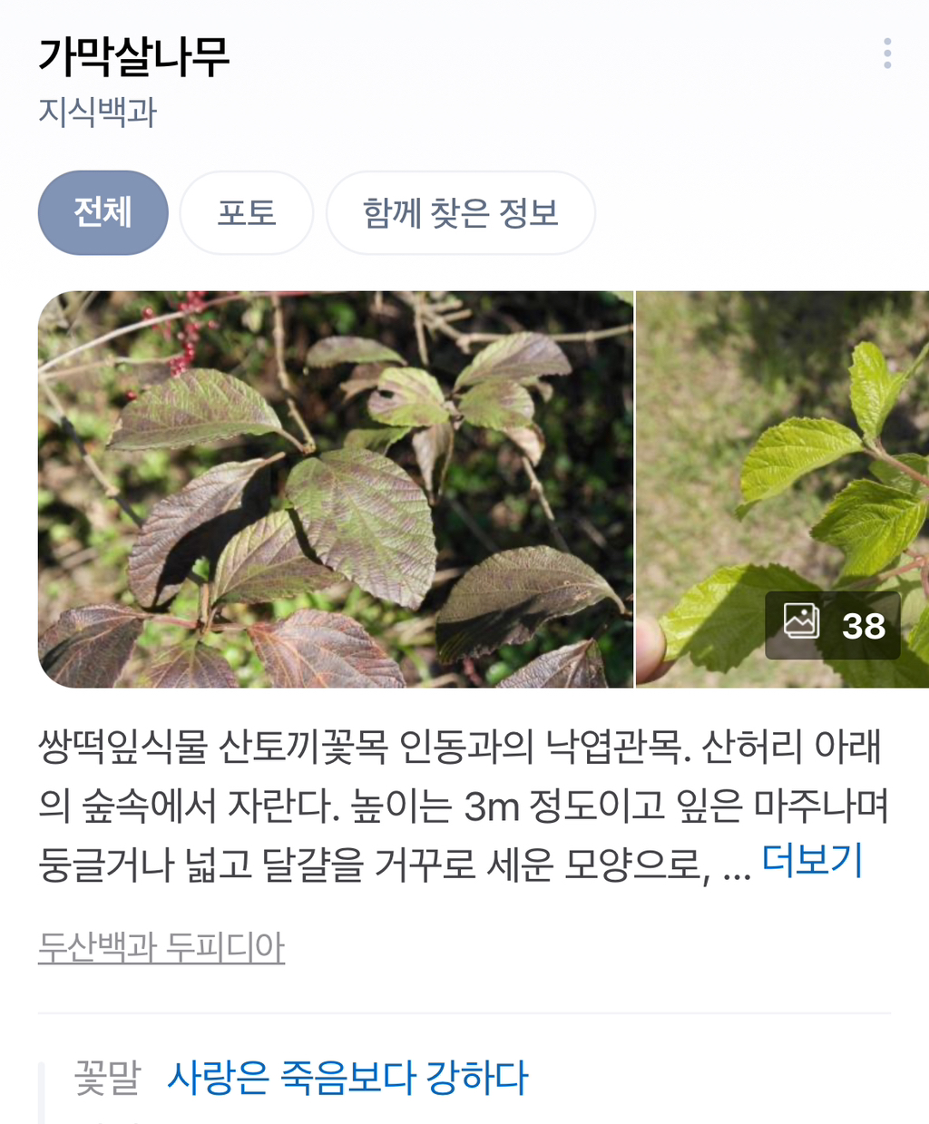 대표이미지