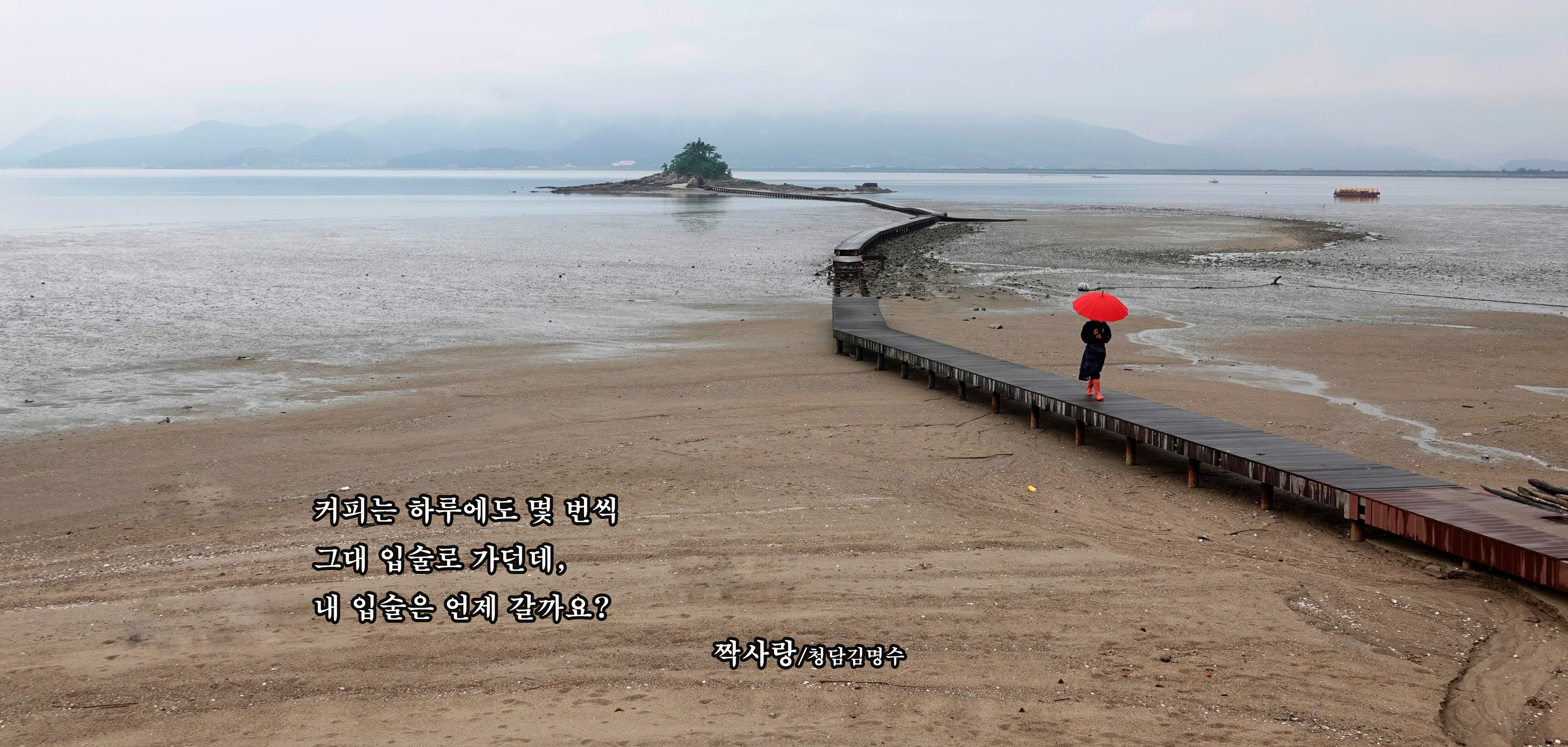 게시글 대표 이미지